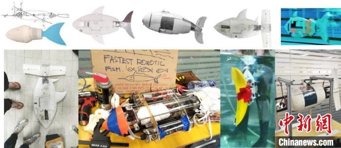 历史版本的VAYU机器鱼。 邓苏 摄 深港高校联合研发出世界上50米游得最快的仿生机器鱼