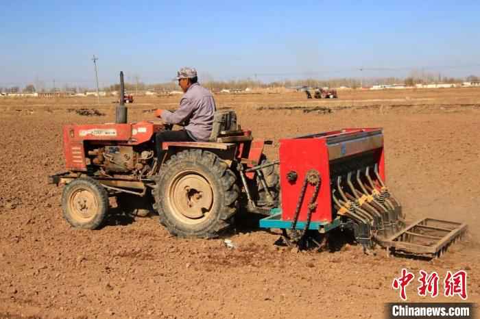 图为河套灌区春小麦开播现场。 闫巍 摄 “塞外粮仓”河套灌区春小麦开播 拉开内蒙古春播序幕
